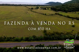 450 HA NO RS.00_00_27_16.Quadro003_1a0f6f1dc3f54f6eb581ece587eeed2e6a88f7bd.jpg